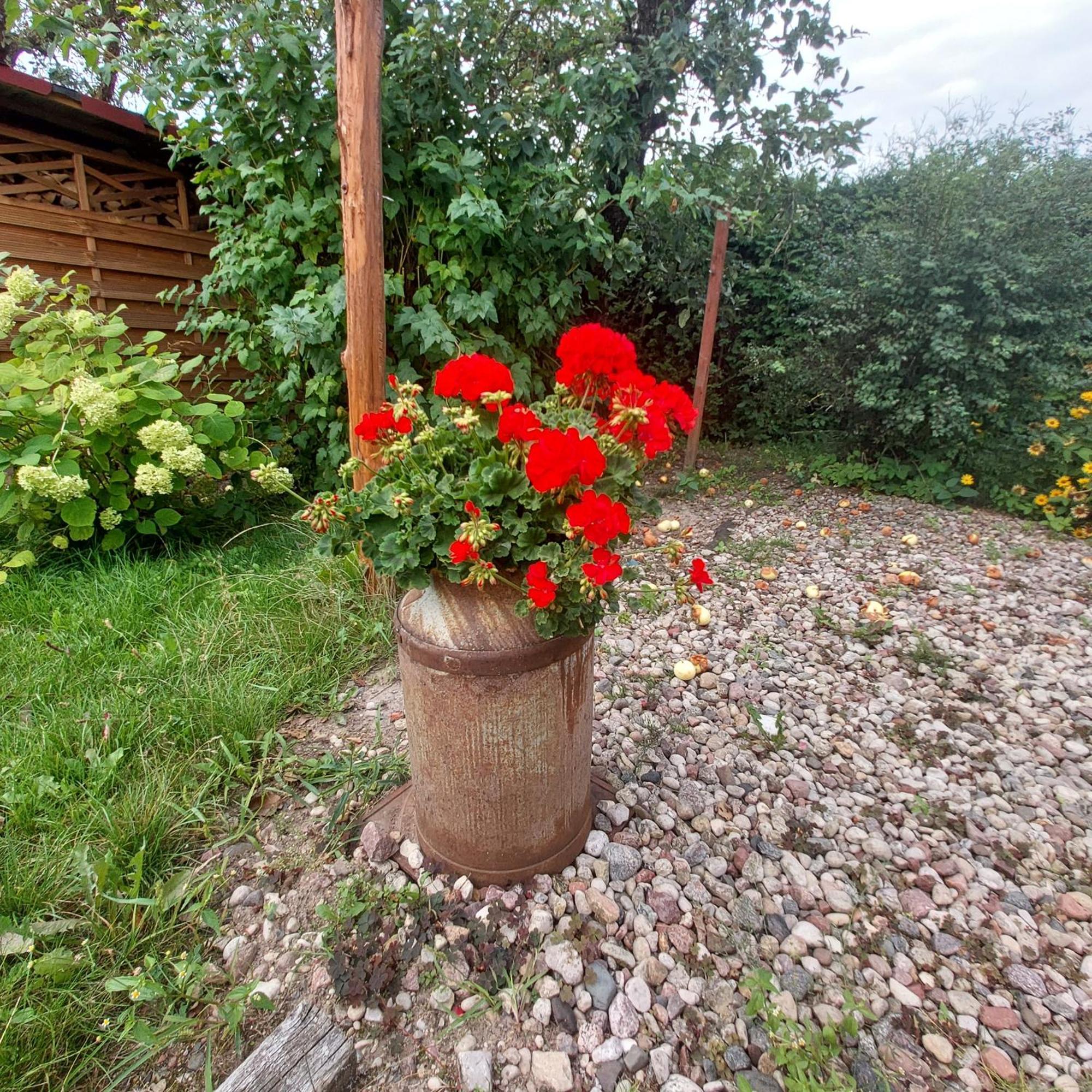 Mazury Home Giżycko Buitenkant foto